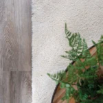 Cream carpet next to wood flooring with green houseplant